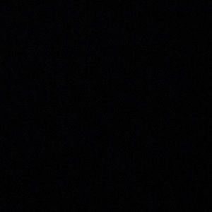 Meet your Posher, Evelyn